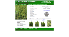 Desktop Screenshot of flicknursery.com